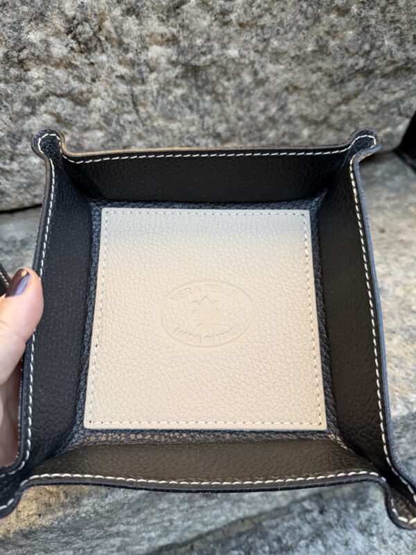 Nahkainen lokerikko; beige