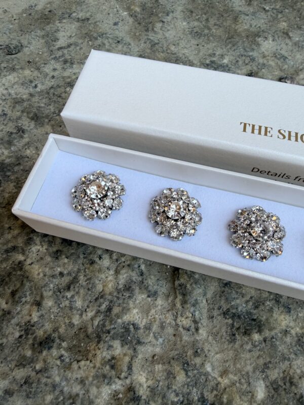 Nappikoru  Olivia; hopea kristalli